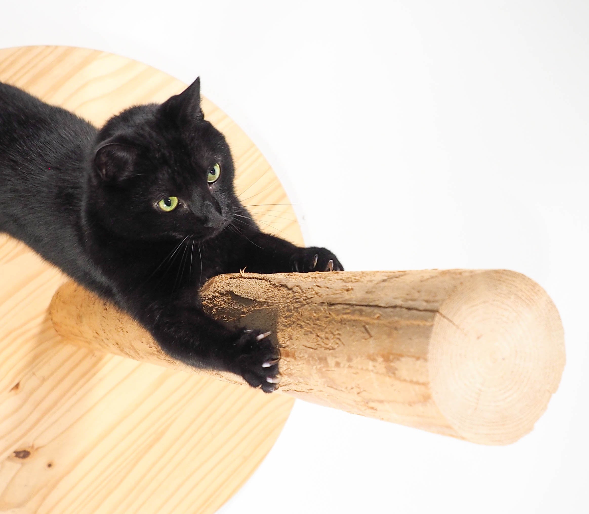 Black cat scratching clearance post